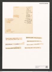 Nitzschia scalaris (Ehr.?) W. Sm. (de-Toni-Nr.: Genus 47, Species 2070) Zeichnungen Sammlung Grunow (NHMW-BOT-W0371931)